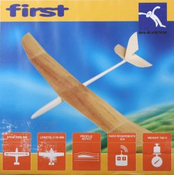 09-Aloft Blejzyk FIRST_3180s.JPG