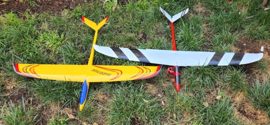 Desitny and Micro Floh.jpg