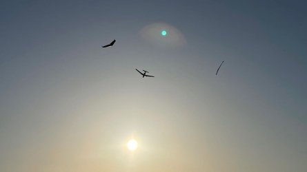 sunset22 - 3.jpeg