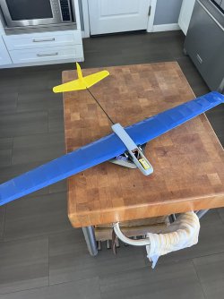 I'm back... With a new Twisty Pitcheron Plane | Aloft Forums