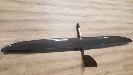 wing 22 07.jpg