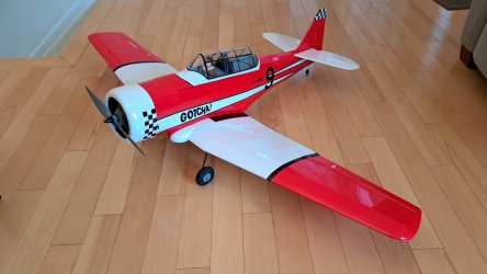 20230423_095207.jpg
