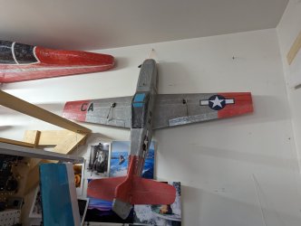 PXL_20230508_172448715.jpg