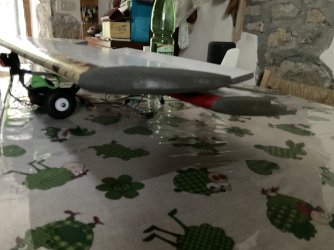 IMG_2169.jpeg
