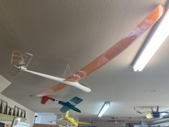 IMG_7078.jpeg