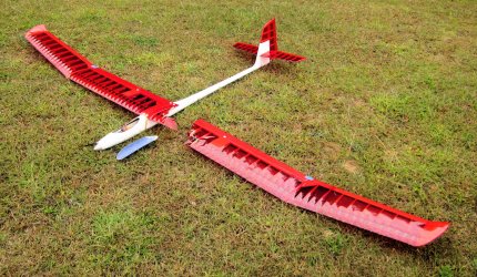 Topmodel PRELUDE broken wing.jpg