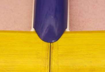 3 OLY-2 wing_1026.JPG