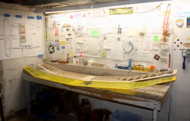 OLY-2 wing RISER-100 wing 1005.JPG