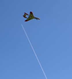 IMG_20230409_162119_052.jpg