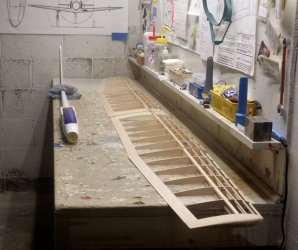 Topmodel PRELUDE fuselage with Sig RISER-100 wing0616.JPG