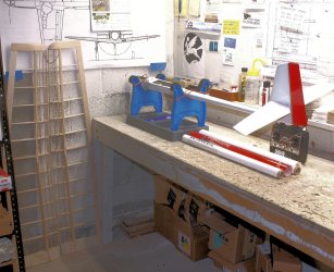 Riser-100 red and white  covering_1047.JPG