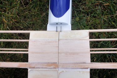 5 RISER-100 wing on PRELUDE fuselage 0990.JPG