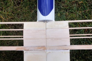 6 RISER-100 wing on PRELUDE fuselage0989.JPG