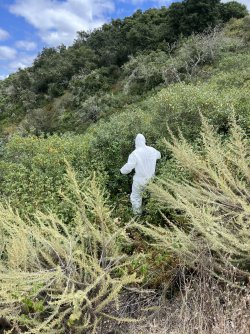 IMG_6544.jpeg