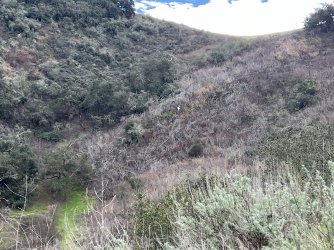 IMG_8648.jpeg