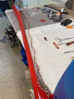 IMG_8162.jpeg