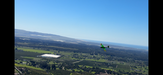 IMG_8858.png