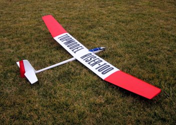 Topmodel Riser-100 flight test day_9003.JPG