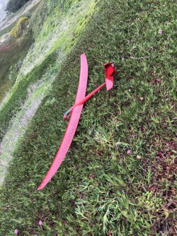 IMG_9768.jpeg