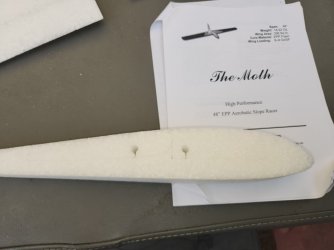 48  Moth2.jpg
