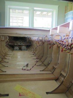 IMG_6673 (Medium).jpeg