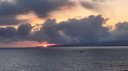 20240504_195843.jpg