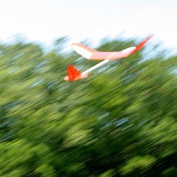 SENSOAR Blejzyk fuse 2019 SW-0798.JPG