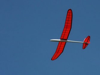 SENSOAR Blejzyk fuse 2019 SW-0827.JPG