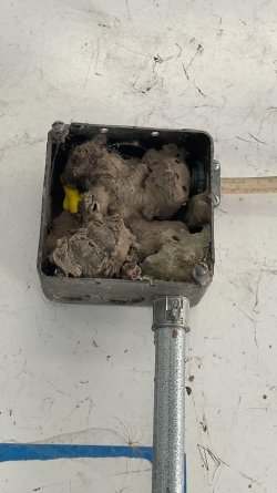 new aloft 2 - 7.jpeg