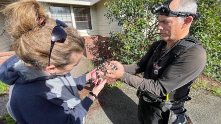 new aloft 2 - 18.jpeg