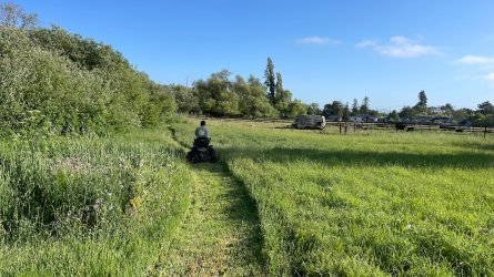 new aloft 2 - 12.jpeg