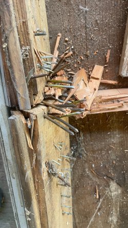 new aloft 2 - 23.jpeg