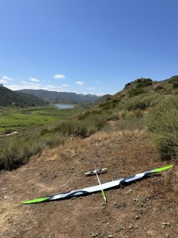 IMG_2406.jpeg