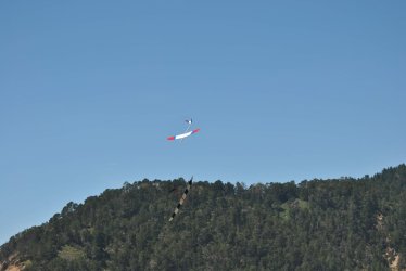 DSC_7873.JPG