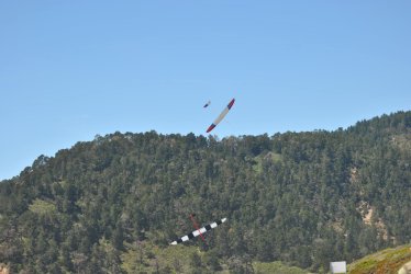 DSC_7874.JPG