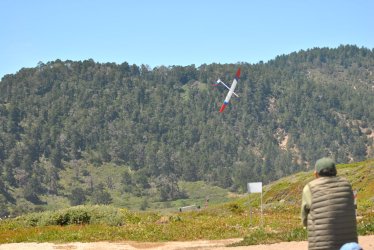 DSC_7875.JPG
