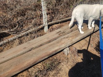 Walk way - need long lugbolts.jpg