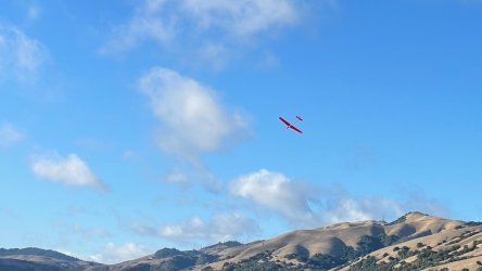 wingeron - 2.jpeg