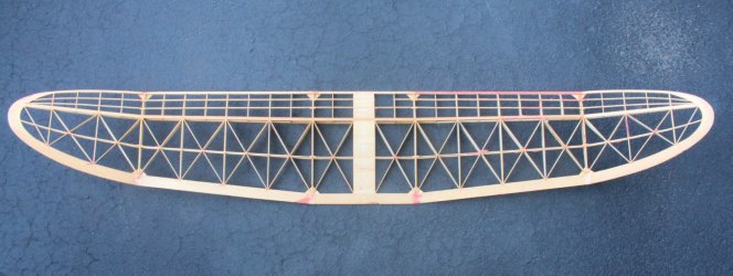 Satellite 1000 wing_0837.JPG