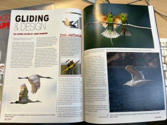 68336fd5-8db6-4060-85f4-91d1ac3aba9b.JPG 68336fd5-8db6-4060-85f4-91d1ac3aba9b.JPG