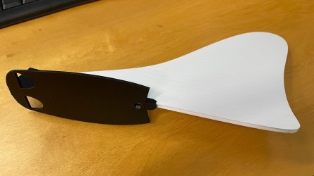 bam tail - 2.jpeg