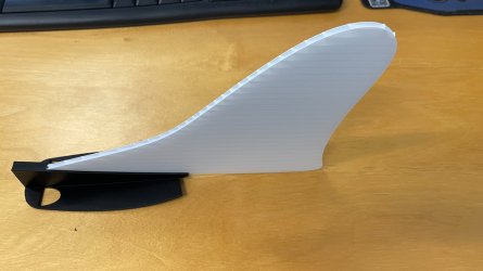 bam tail - 1.jpeg