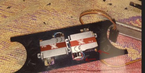 tray 1.JPG
