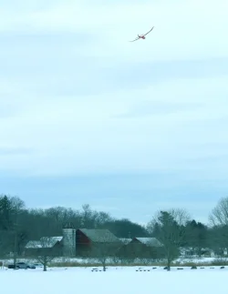 Maalwyck Park FEB 2025 OCEAN BREEZE - SATELLITE wing 436.webp