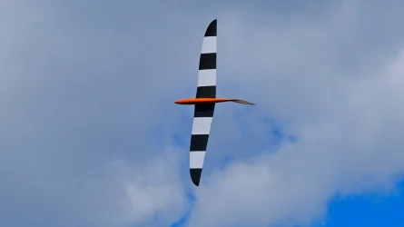 484364320_967788672008275_831419678707323686_n.webp