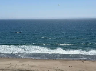 IMG-20250504-WA0035.webp