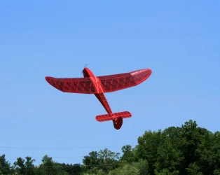 Dave OCEAN BREEZE  at Maalwyck JUN-2025 SAW-2962.webp