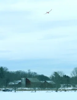 Maalwyck Park FEB 2025 OCEAN BREEZE - SATELLITE wing 436.webp