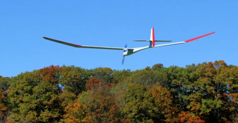 WANDERER-99 Gifford's OCT 2024 SAW-0839.webp