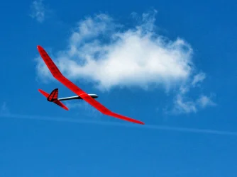 SENSOAR Blejzyk fuse 2019 SW-0833.webp